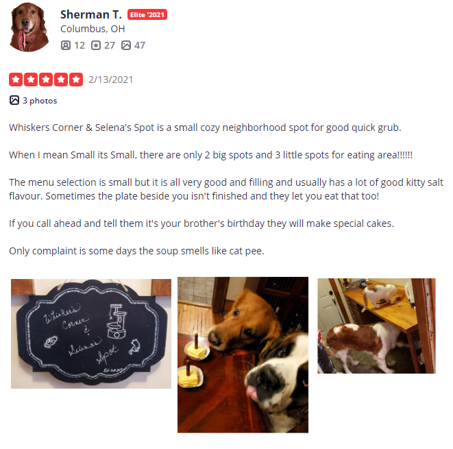 Sherman’s five-star Yelp review of “Whiskers Corner & Selena’s Spot,” mentioning that they’ll make special cakes if you call ahead for a birthday